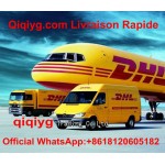 Qiqiyg Livraison Rapide