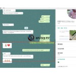 qiqiyg reviews - qiqiyg.com | Site officiel de vente en gros de vêtements et de Dropshipping QA74