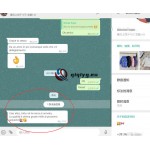 qiqiyg reviews - qiqiyg.com | Site officiel de vente en gros de vêtements et de Dropshipping QA114